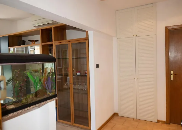 Mirea's Ascoli Piceno